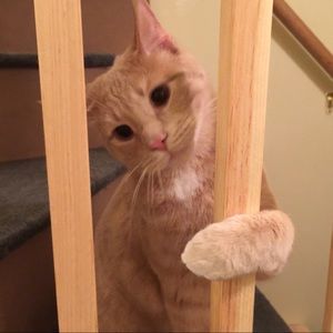 Meet your Posher, Myka